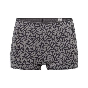 Avet boxertrosa Autumn Grey