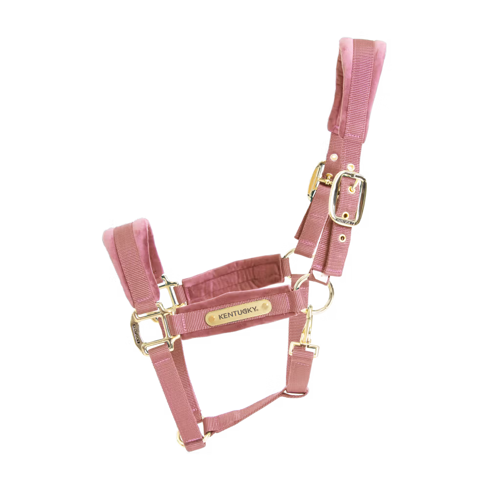 Kentucky Horsewear Grimma Velvet Old Rose
